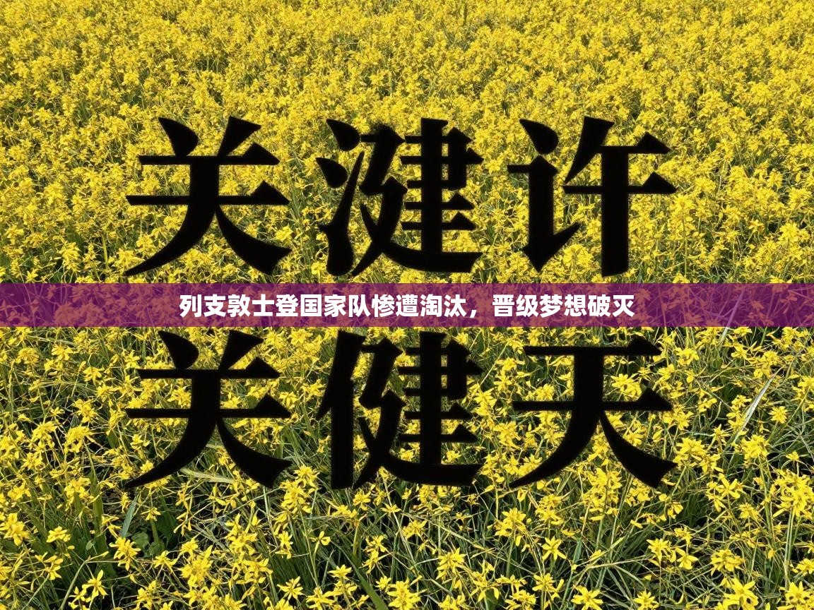 列支敦士登国家队惨遭淘汰，晋级梦想破灭  第2张